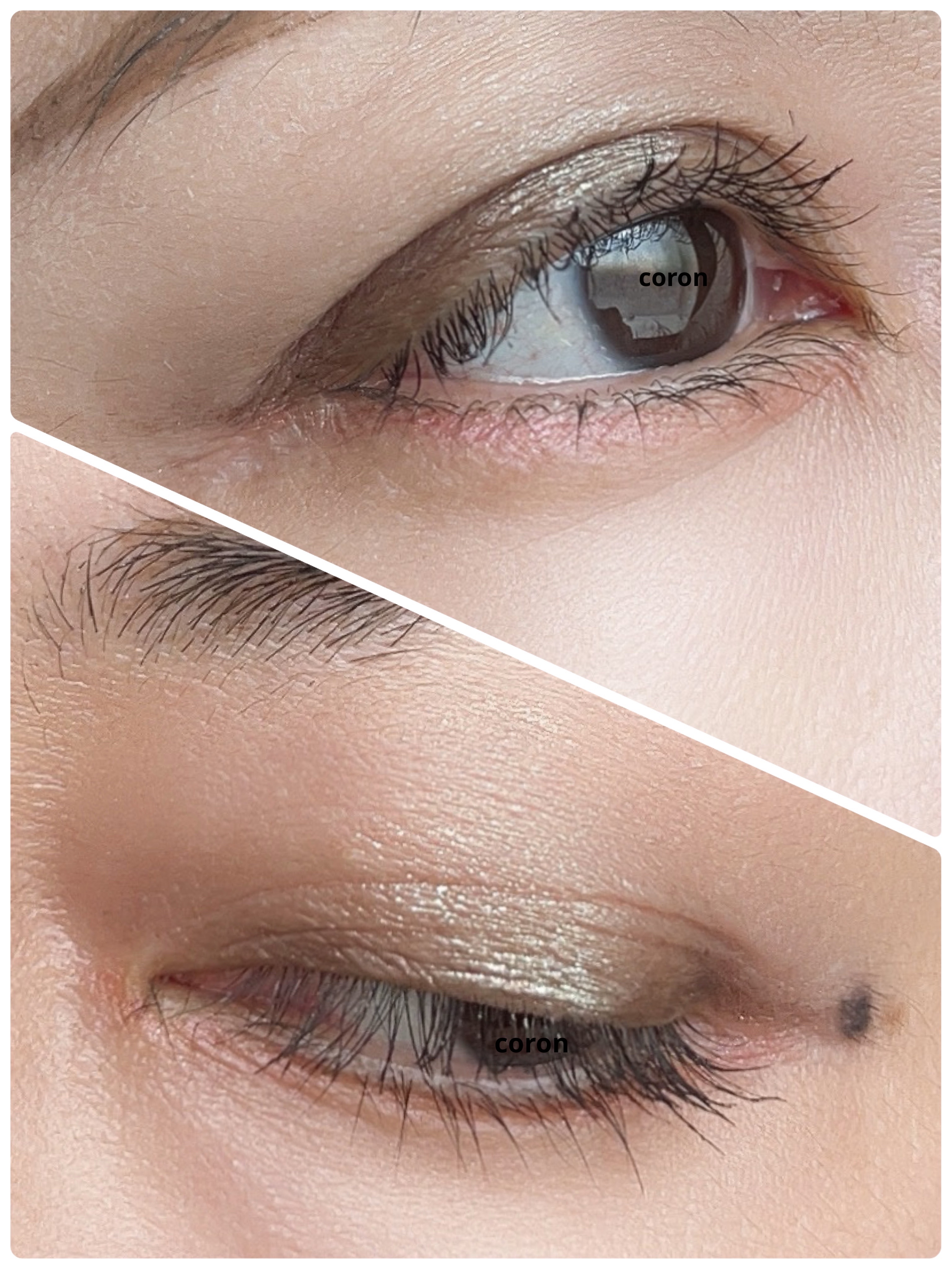 ロング＆カールマスカラ アドバンストフィルム/ヒロインメイク/マスカラを使ったクチコミ（2枚目）