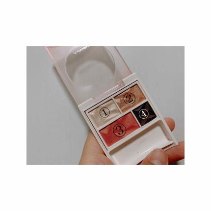 カラーパレット/パラドゥ/マルチパレットを使ったクチコミ(2枚目)