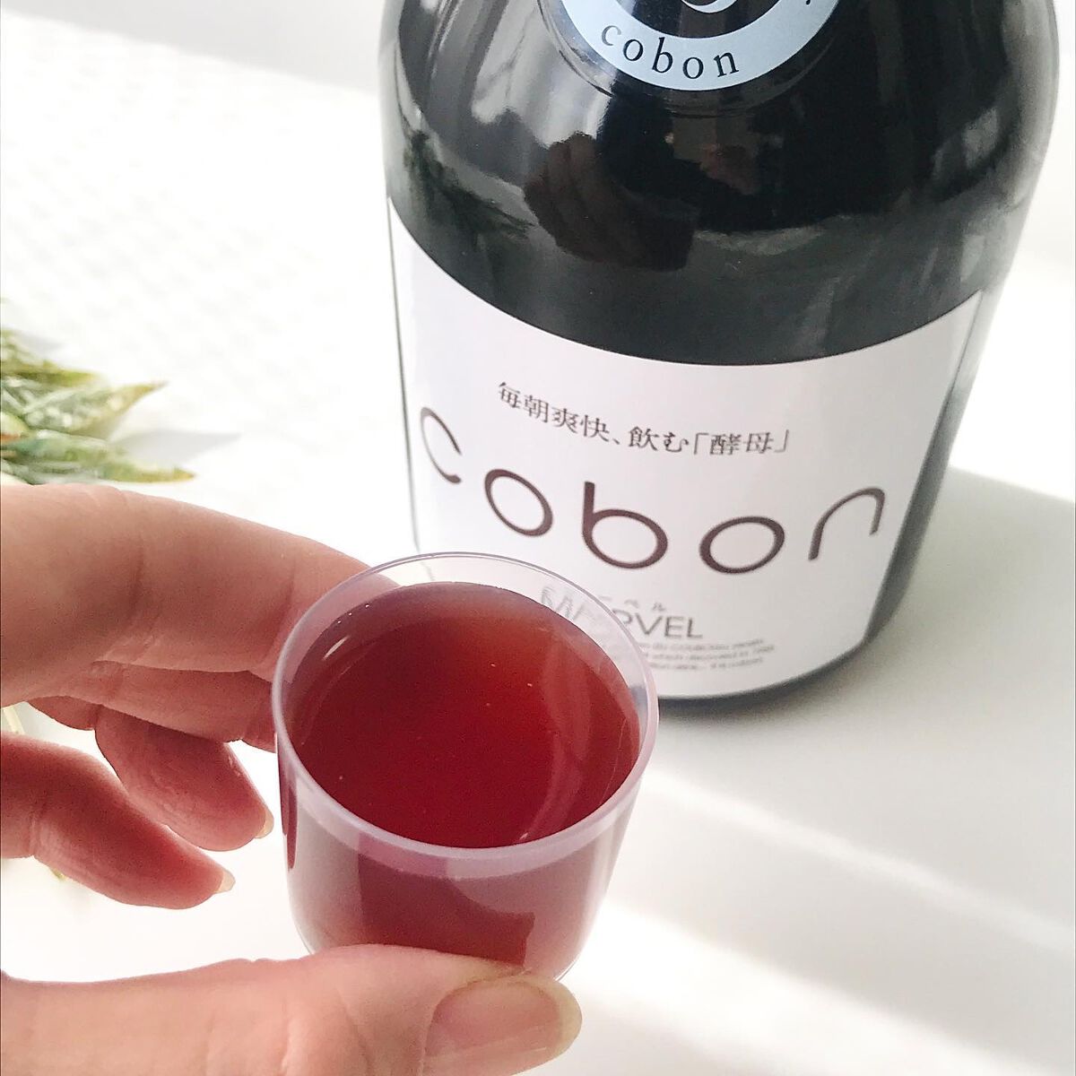 コーボンマーベルN525/COBON/ドリンクを使ったクチコミ(2枚目)