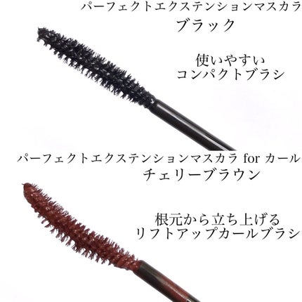 パーフェクトエクステンション マスカラ for カール/D-UP/マスカラを使ったクチコミ(3枚目)