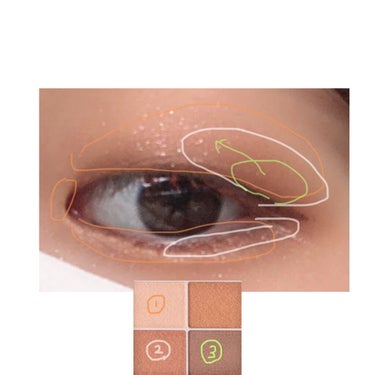 シルキースフレアイズ/キャンメイク/アイシャドウパレットを使ったクチコミ（2枚目）