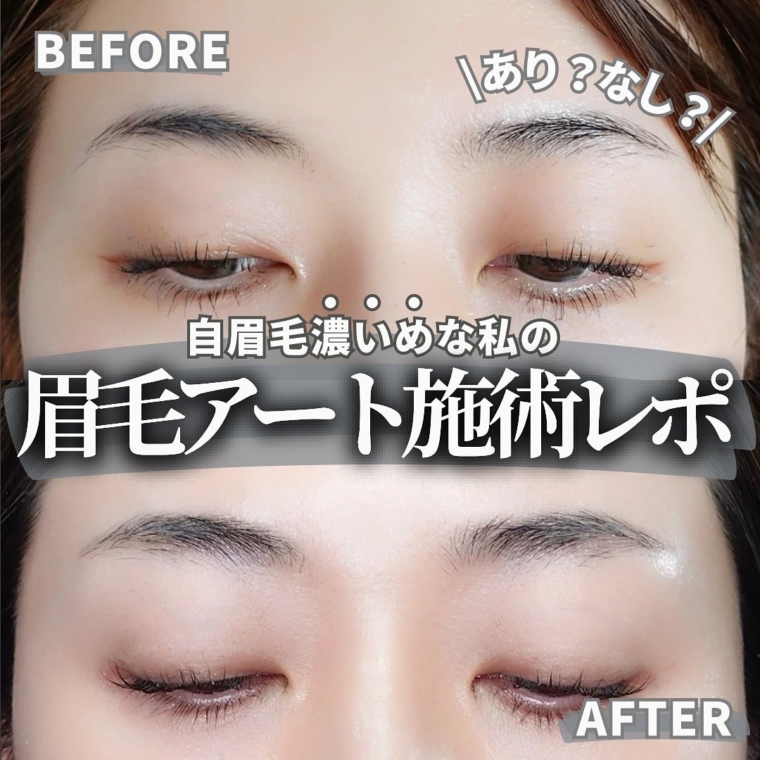 talico on LIPS 「【濃いめ自眉毛による眉毛アートレポ2024】わりと眉毛ある方..」(1枚目)