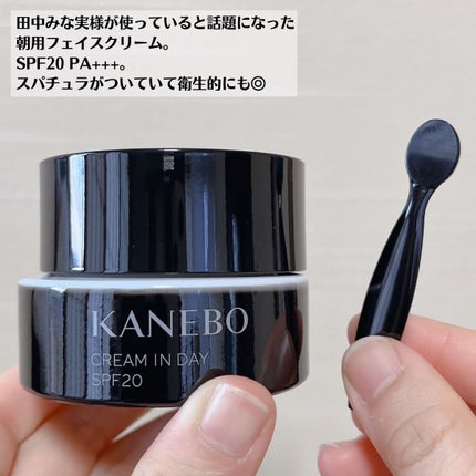 クリーム イン デイ/KANEBO/フェイスクリームを使ったクチコミ(8枚目)