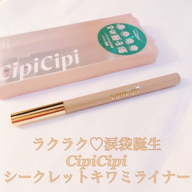 グリッターイルミネーションライナー/CipiCipi/リキッドアイライナーを使ったクチコミ（1枚目）