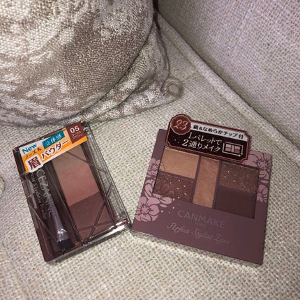 ノーズ&アイブロウパウダー/CEZANNE/パウダーアイブロウを使ったクチコミ(1枚目)