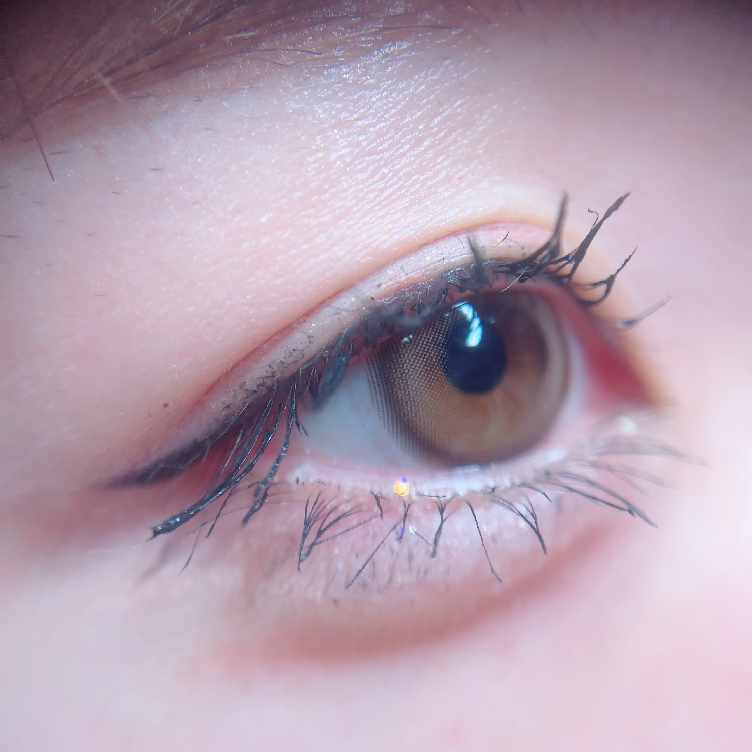 chiffon/meilly/ワンデー（１DAY）カラコンを使ったクチコミ（2枚目）