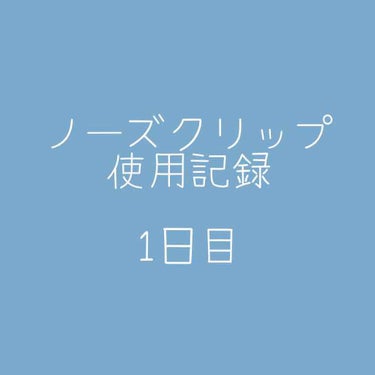 ノーズクリップ/SEPOVEDA/その他を使ったクチコミ（1枚目）