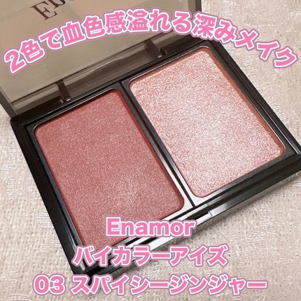 バイカラーアイズ/Enamor/アイシャドウパレットを使ったクチコミ(1枚目)