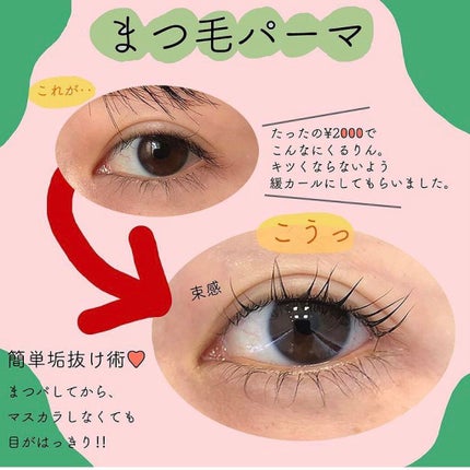 ウメミコ♡フォロバ on LIPS 「【まつげパーマ まつげ家kurun】簡単垢抜け、まつ毛パーマ!..」(1枚目)