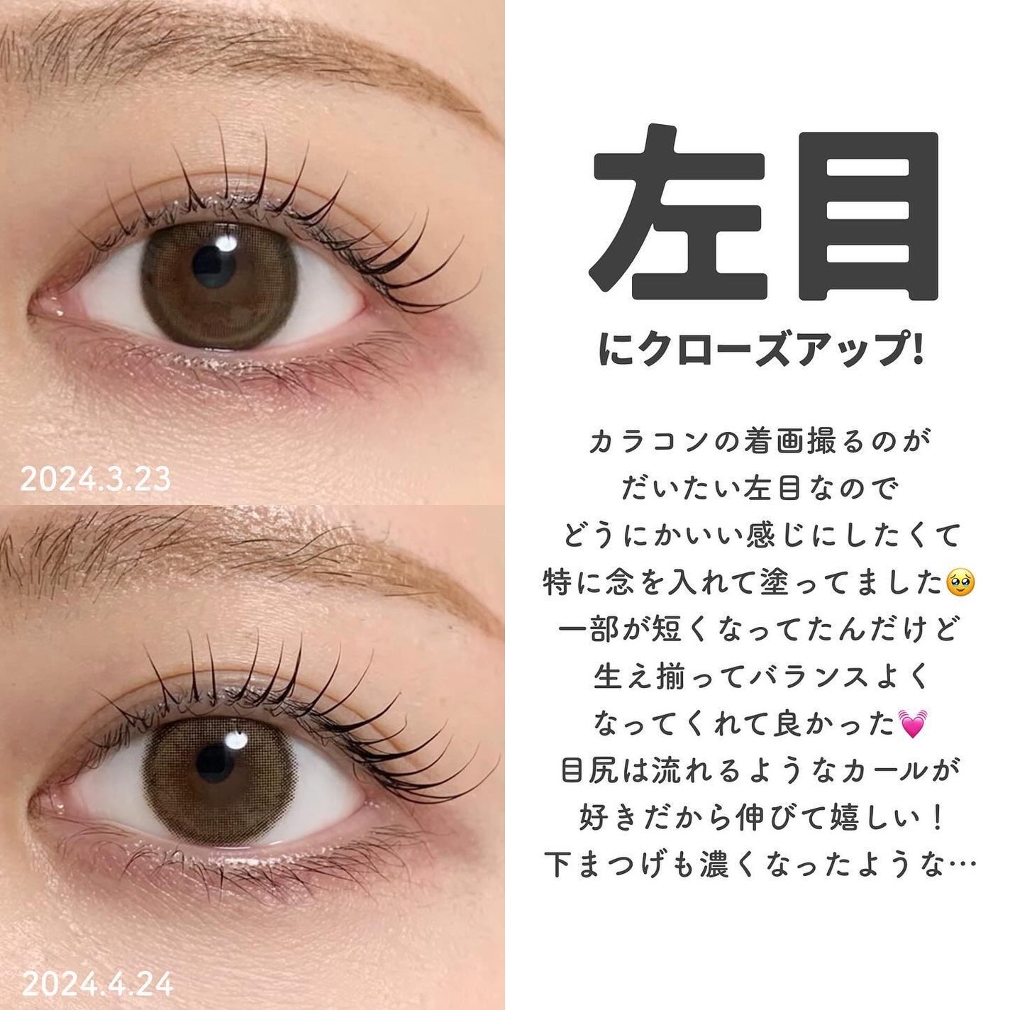 ラッシュアディクト アイラッシュコンディショニングセラム/soaddicted/まつげ美容液を使ったクチコミ(5枚目)