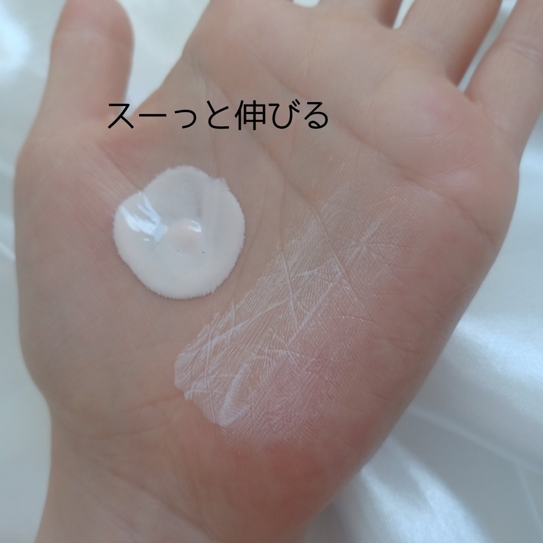 デイセラム/アネッサ/化粧下地を使ったクチコミ（3枚目）