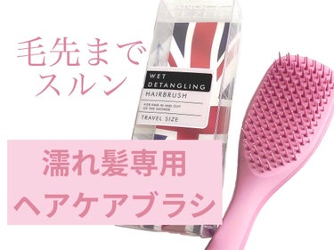 タングルティーザー ザ・アルティメットディタングラー ミニ/TANGLE TEEZER/ヘアブラシを使ったクチコミ（1枚目）