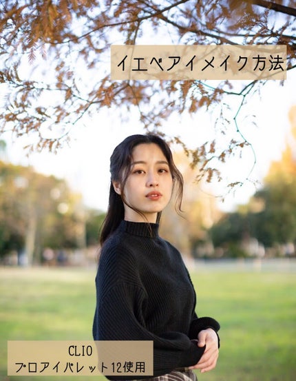 プロ アイ パレット/CLIO/アイシャドウパレットを使ったクチコミ(1枚目)