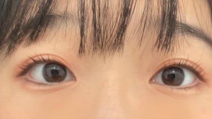 シルキースフレアイズ/キャンメイク/アイシャドウパレットを使ったクチコミ(2枚目)