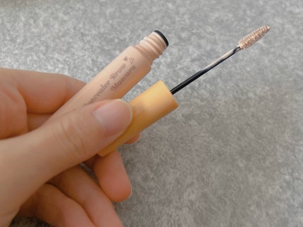 コンシーラーブロウマスカラ/キャンメイク/その他アイブロウを使ったクチコミ(5枚目)