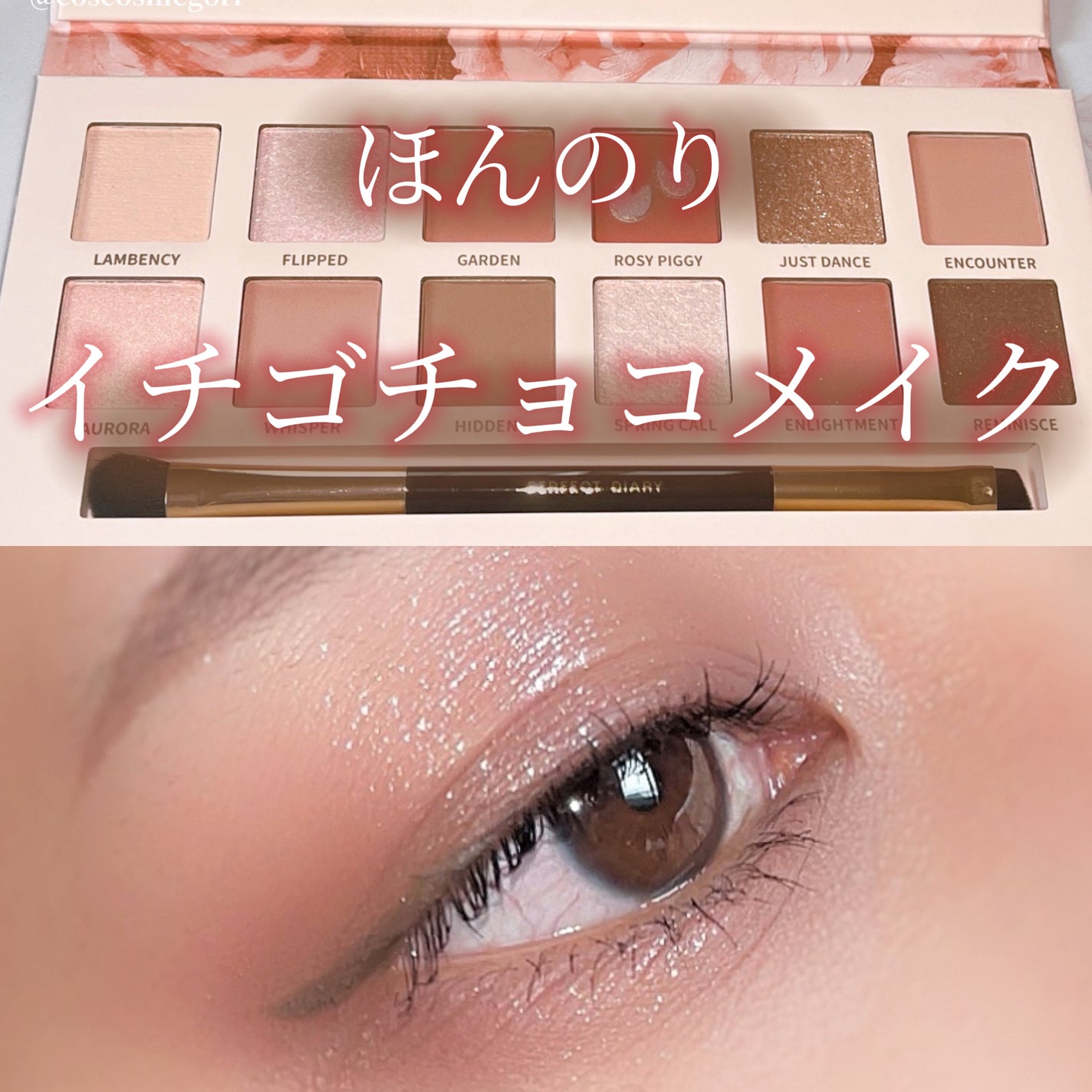 エクスプローラ12色 動物アイシャドウパレット/PERFECT DIARY/アイシャドウパレットを使ったクチコミ(1枚目)