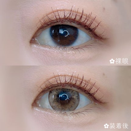 LENSSIS ディライト シリーズのクチコミ「
【LENSSIS】
🧸ディライトブラウン🍊
(1month)
DIA…14.5mm
着.....」(2枚目)