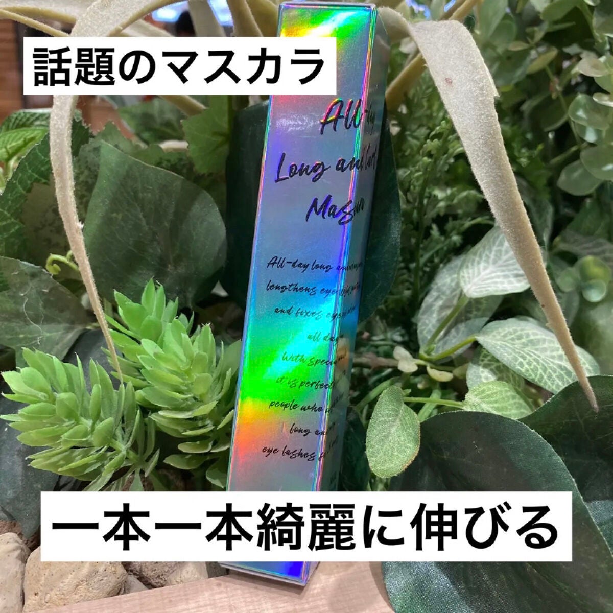 オールデイ ロング アンド カール マスカラ/Milk Touch/マスカラを使ったクチコミ(1枚目)
