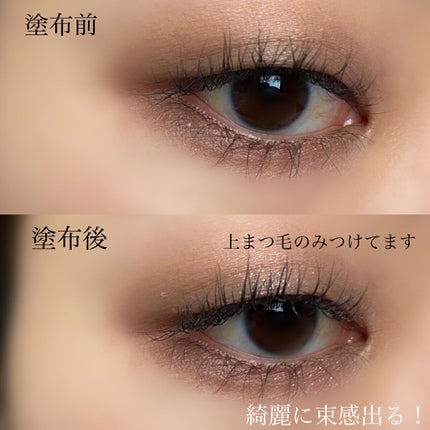 ラッシュボーン ブラックファイバーイン/MAJOLICA MAJORCA/マスカラ下地を使ったクチコミ(4枚目)