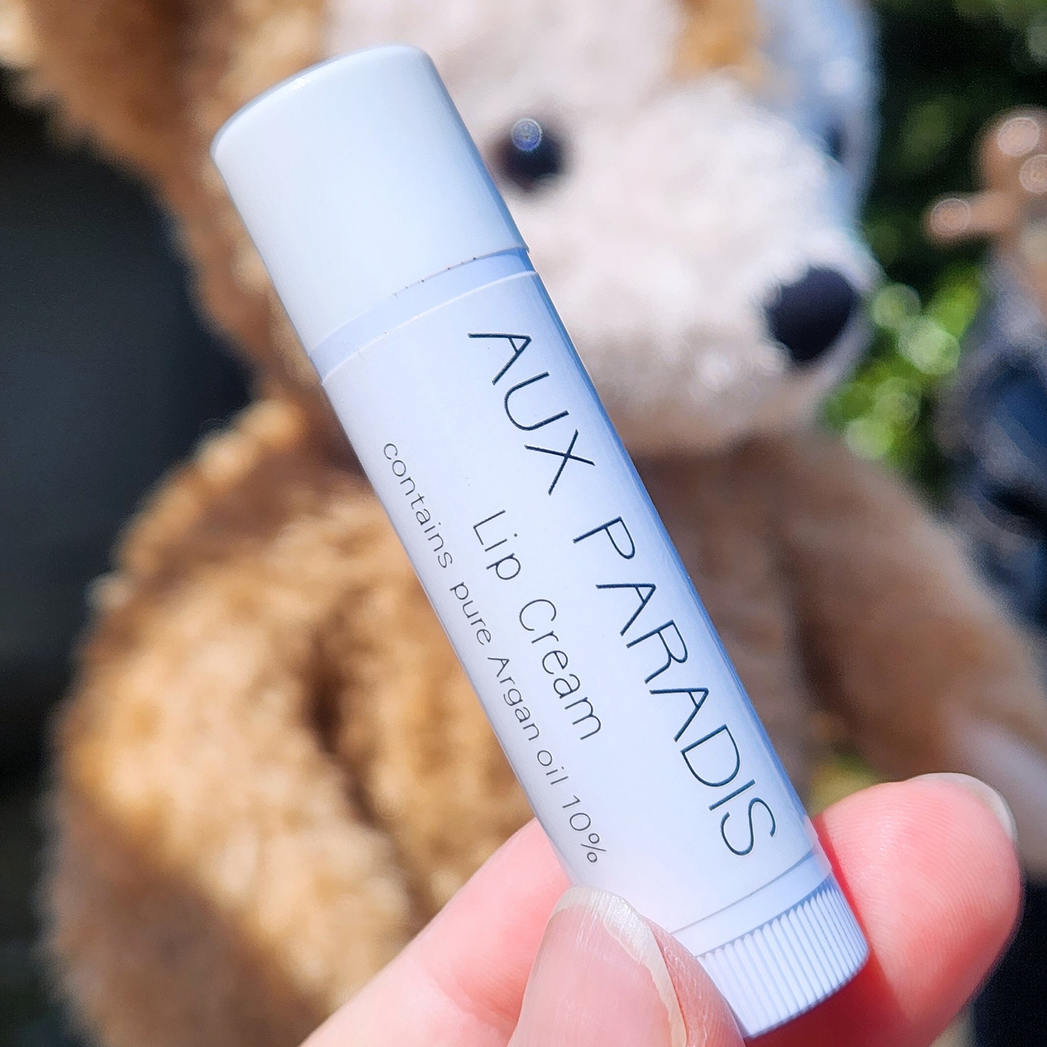 Lip Cream/AUX PARADIS/リップクリームを使ったクチコミ（1枚目）