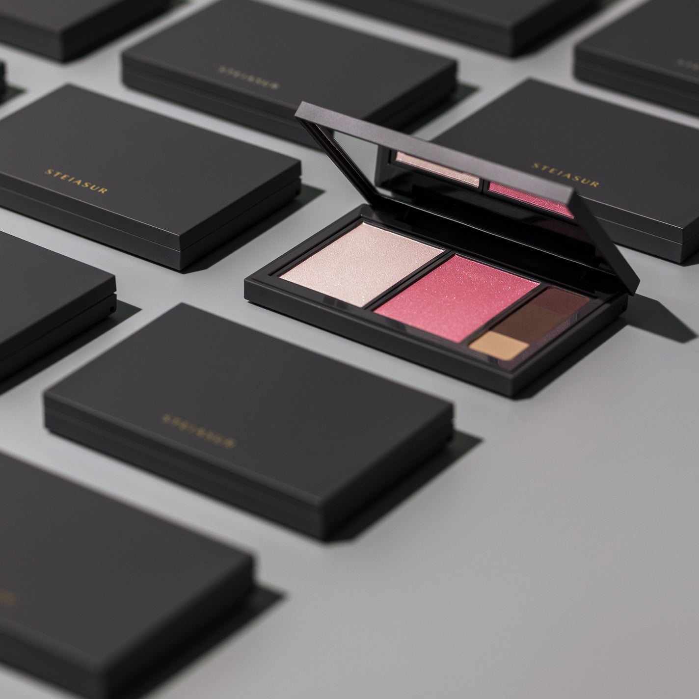 フィット my カラーパレット/STEIASUR(ステイアシュール)/マルチパレットを使ったクチコミ(2枚目)