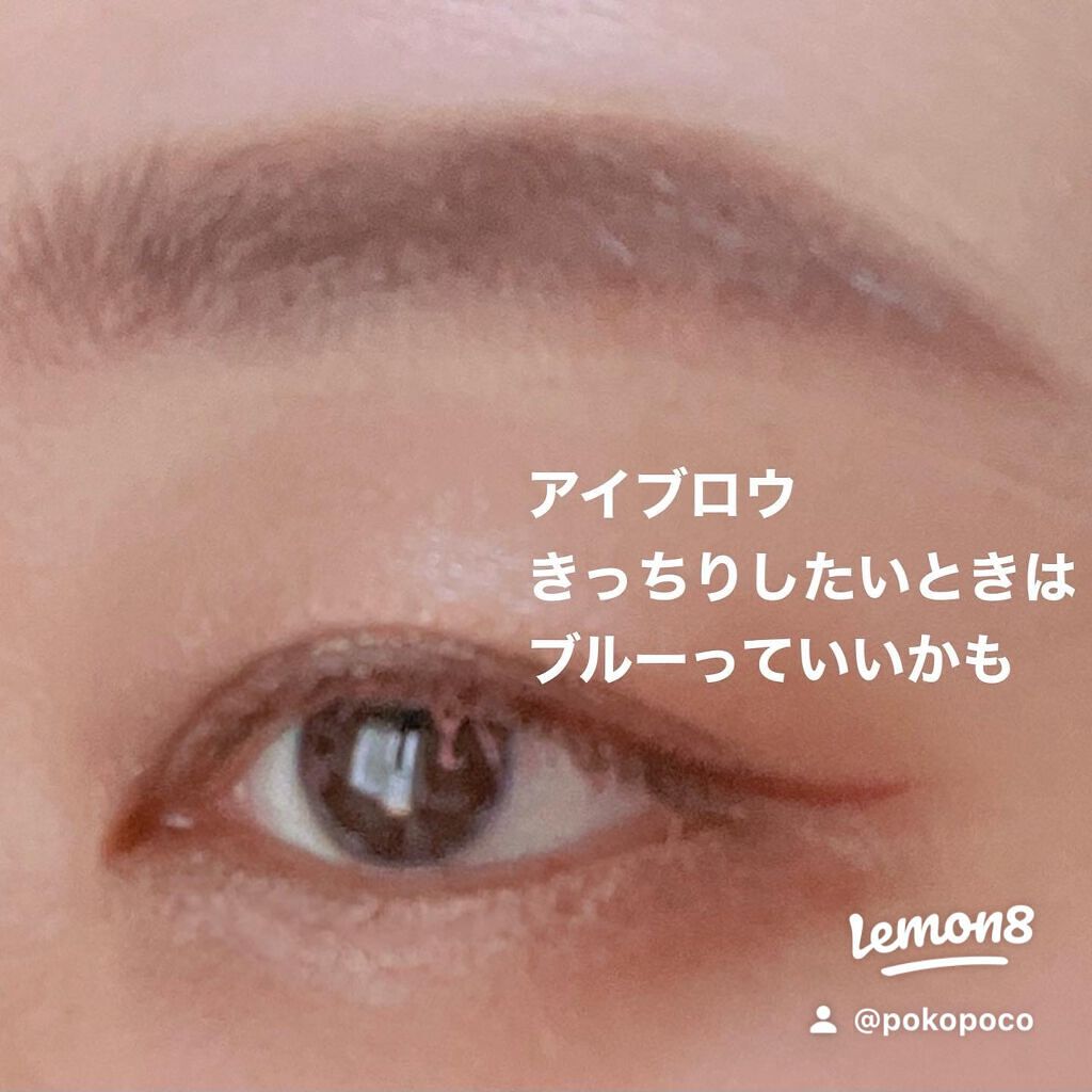 ヴィセ リシェ アイブロウパウダー/Visée/パウダーアイブロウを使ったクチコミ(7枚目)