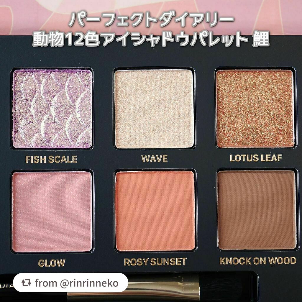 エクスプローラ12色 動物アイシャドウパレット/PERFECT DIARY/アイシャドウパレットを使ったクチコミ(7枚目)
