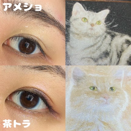 Venus Marble アイシャドウキャットシリーズ/Venus Marble/アイシャドウパレットを使ったクチコミ(4枚目)