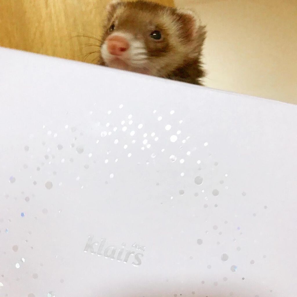 フレッシュリージュースドビタミンドロップ(35ml)/Klairs/美容液を使ったクチコミ（2枚目）