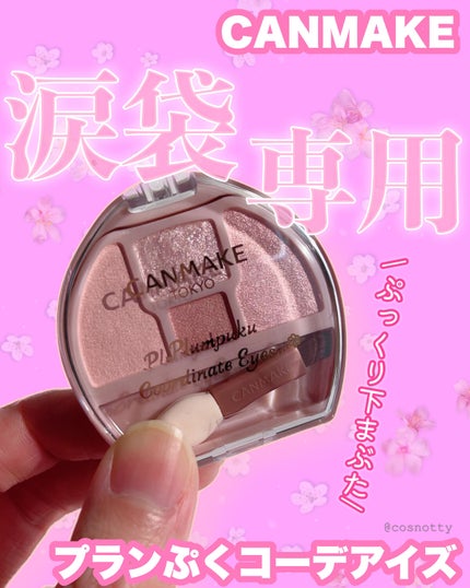 プランぷくコーデアイズ/キャンメイク/パウダーアイシャドウを使ったクチコミ(1枚目)