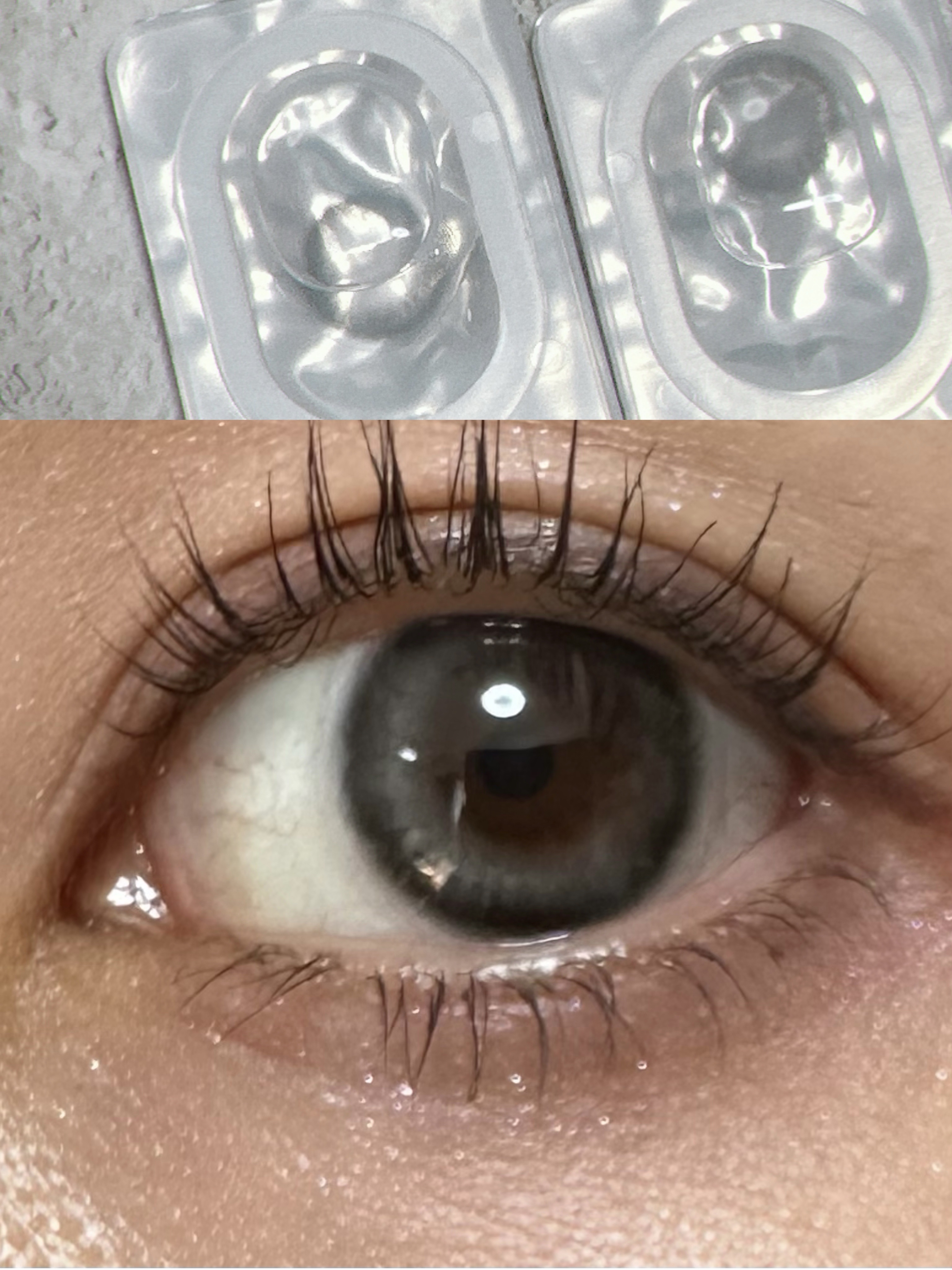 One & Only Kristin/Hapa kristin/カラーコンタクトレンズを使ったクチコミ（2枚目）