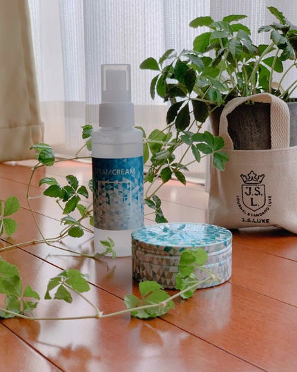 スチームクリーム アイスミント ジェル/STEAMCREAM/ボディローションを使ったクチコミ(1枚目)