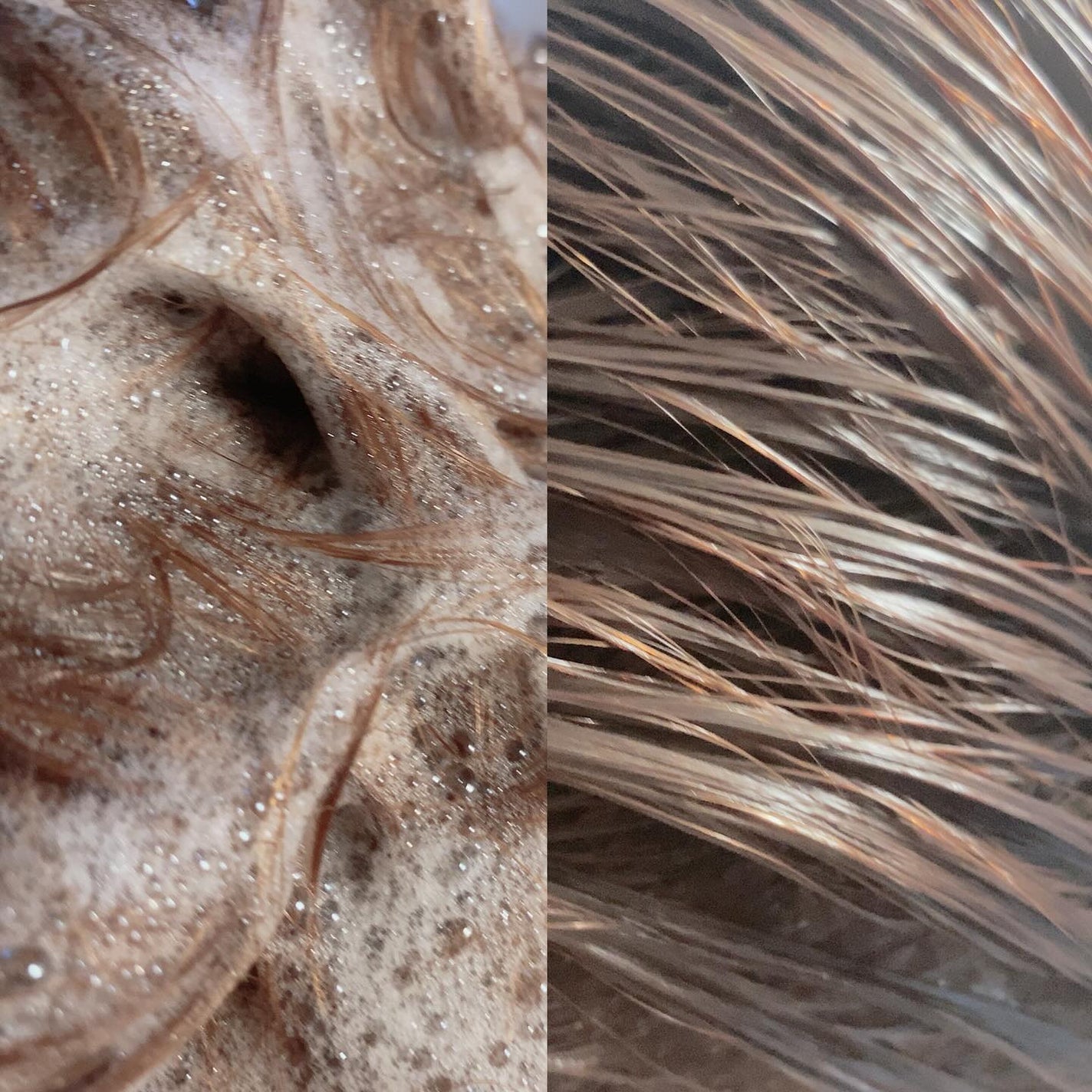 モイストソフナー 01ベーシックスカルプ/Sorule/市販シャンプーを使ったクチコミ(9枚目)