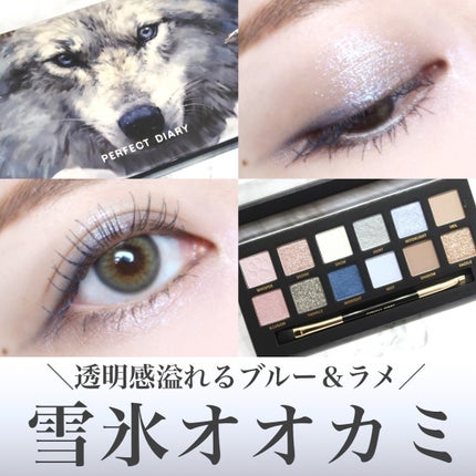エクスプローラ12色 動物アイシャドウパレット/PERFECT DIARY/アイシャドウパレットを使ったクチコミ(1枚目)
