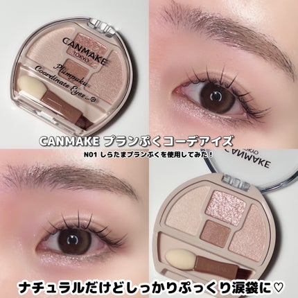 プランぷくコーデアイズ/キャンメイク/パウダーアイシャドウを使ったクチコミ(9枚目)