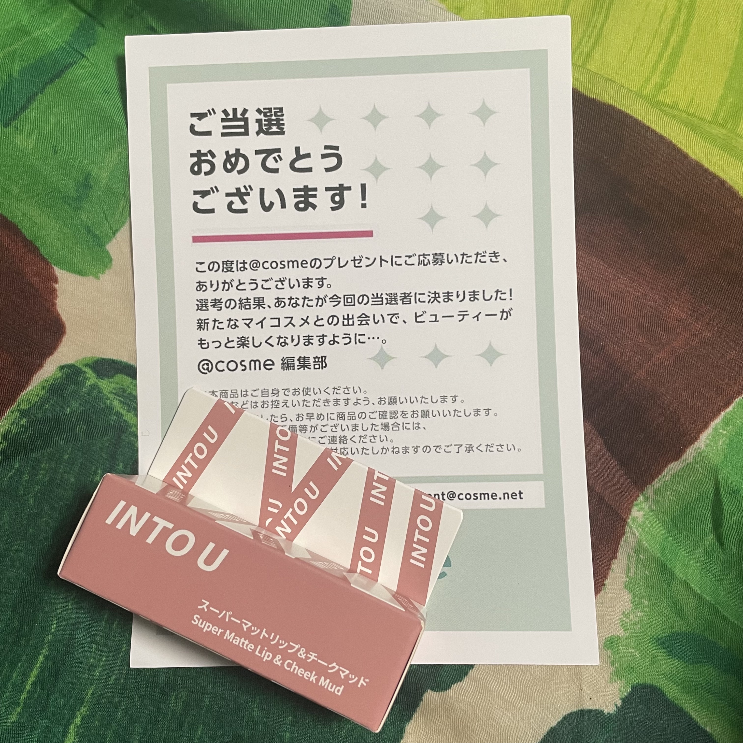 スーパーマットリップ＆チークマッド/INTO U/口紅を使ったクチコミ（1枚目）