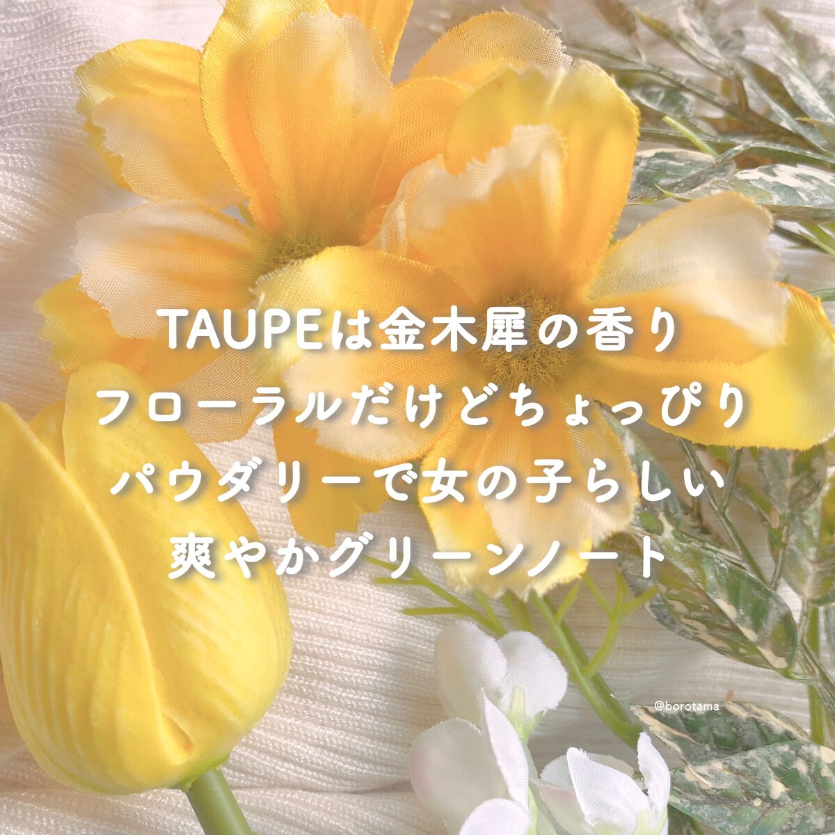 メイクミーハッピー オードトワレ TAUPE/キャンメイク/香水(レディース)を使ったクチコミ（3枚目）