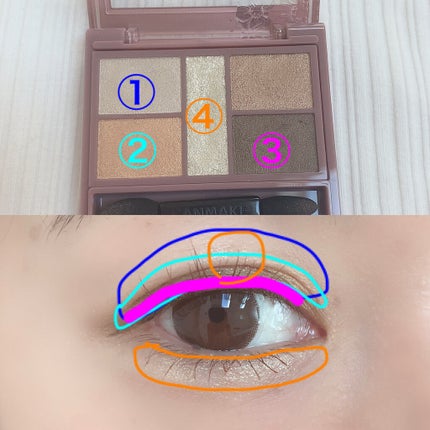 クイックラッシュカーラー/キャンメイク/マスカラ下地を使ったクチコミ(2枚目)