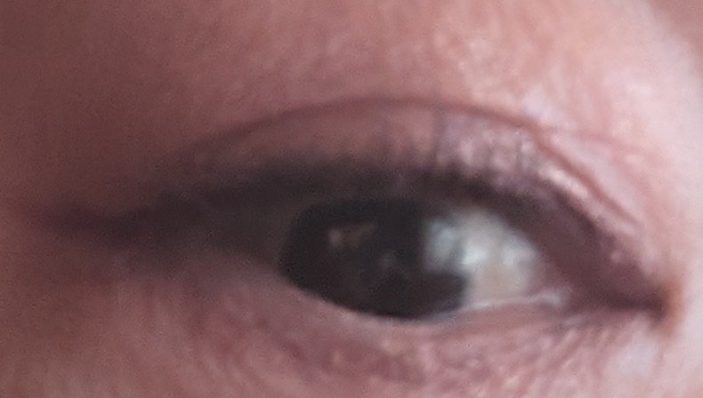 ムードオンアイシャドウ/Lilytone/アイシャドウパレットを使ったクチコミ（2枚目）