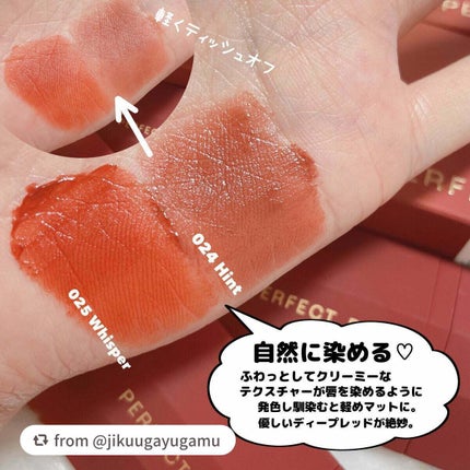 エクスプローラ12色 動物アイシャドウパレット/PERFECT DIARY/アイシャドウパレットを使ったクチコミ(5枚目)