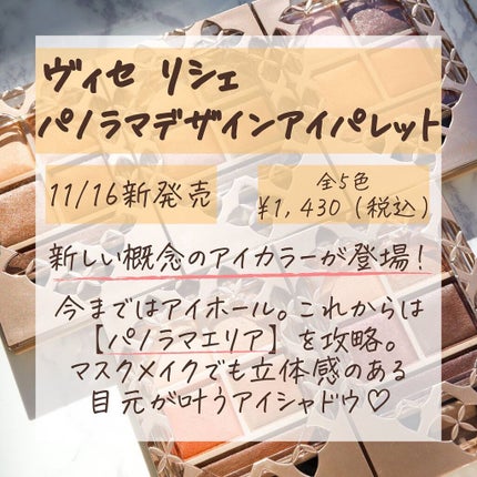 パノラマデザイン アイパレット/Visée/アイシャドウパレットを使ったクチコミ(2枚目)