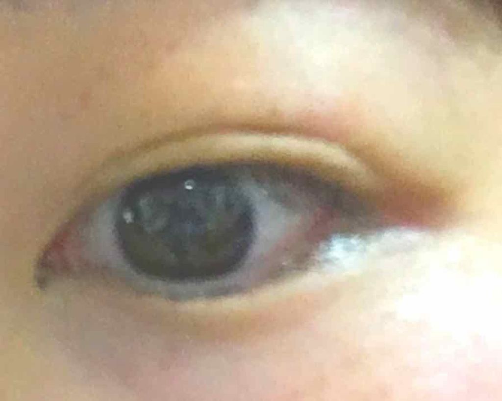 フリーファイバー120 スタンダードタイプ /メザイク/二重まぶた用アイテムを使ったクチコミ(2枚目)