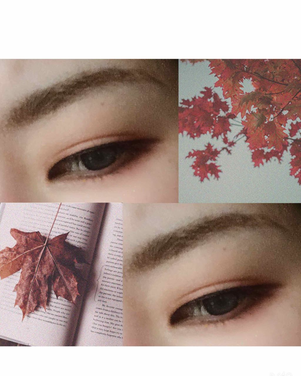 ドーリークロスタイプ 上つけまつげ/キャンドゥ/つけまつげを使ったクチコミ（2枚目）