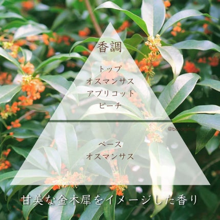 キンモクセイ ロールオンパルファン/and Eclat/香水(レディース)を使ったクチコミ(3枚目)