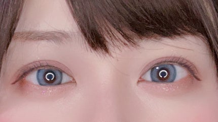 Angelcolor Bambi Series 1day /AngelColor/ワンデー(1DAY)カラコンを使ったクチコミ(3枚目)