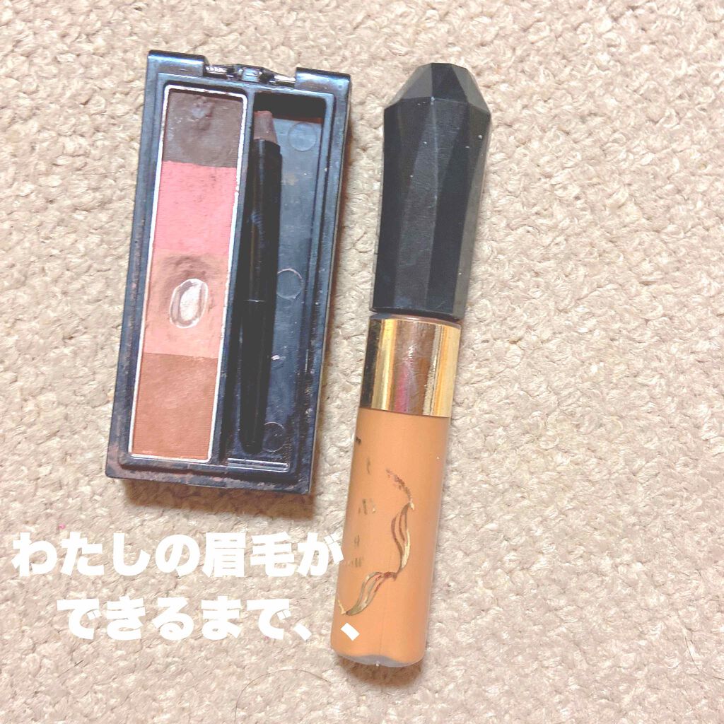 リシェ カラーリング アイブロウパウダー/Visée/パウダーアイブロウを使ったクチコミ（1枚目）