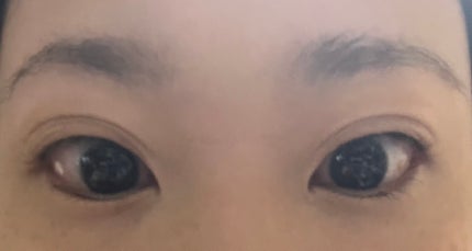 アニマルアイシャドウ(4シェード) D02 素直/ZEESEA/アイシャドウパレットの画像