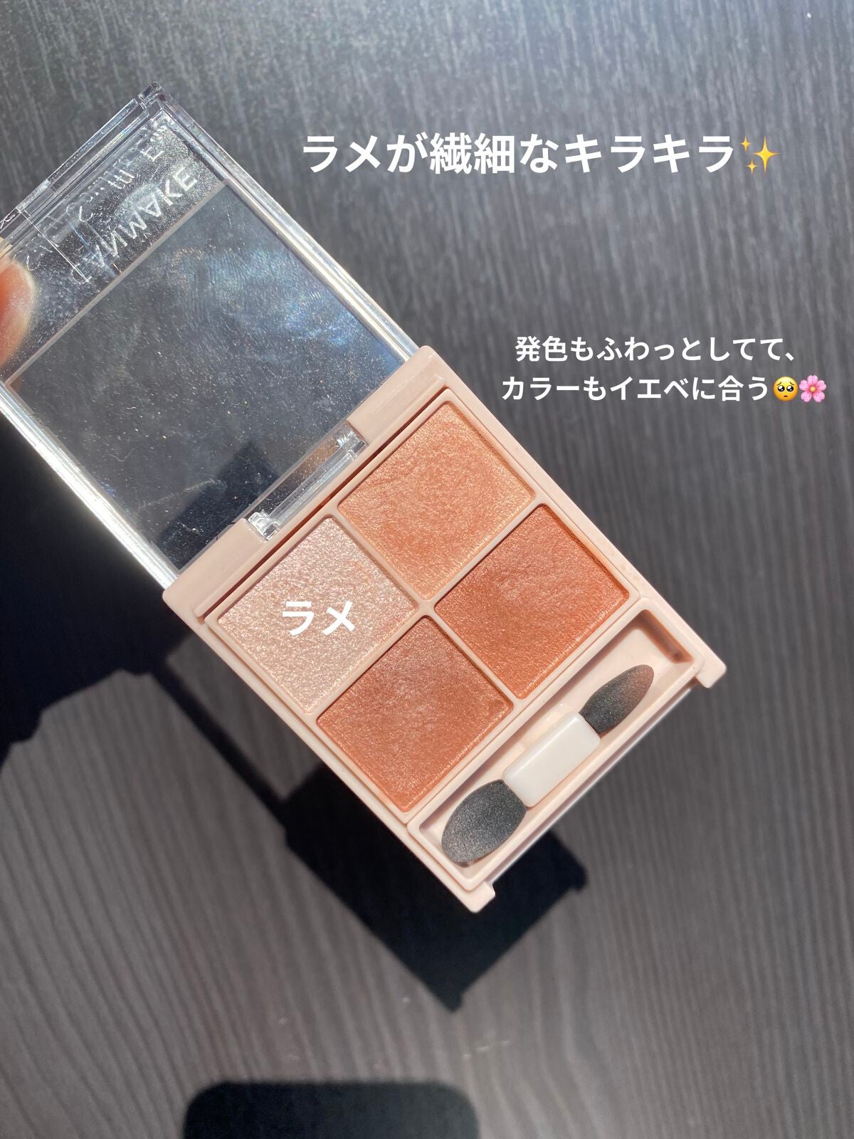 シルキースフレアイズ(マットタイプ)/キャンメイク/アイシャドウパレットを使ったクチコミ(2枚目)