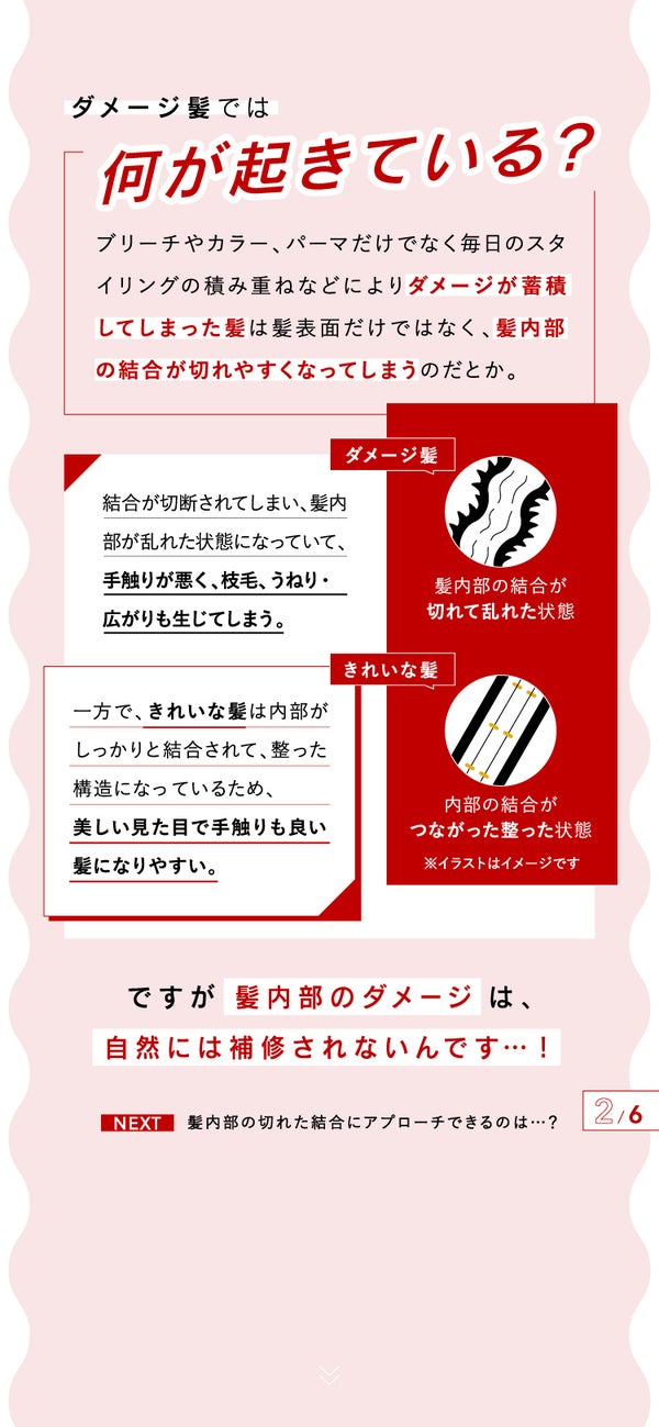 「ダメージ髪にはクエン酸がいい⁈」ロレアル パリ ボンド リペアの画像