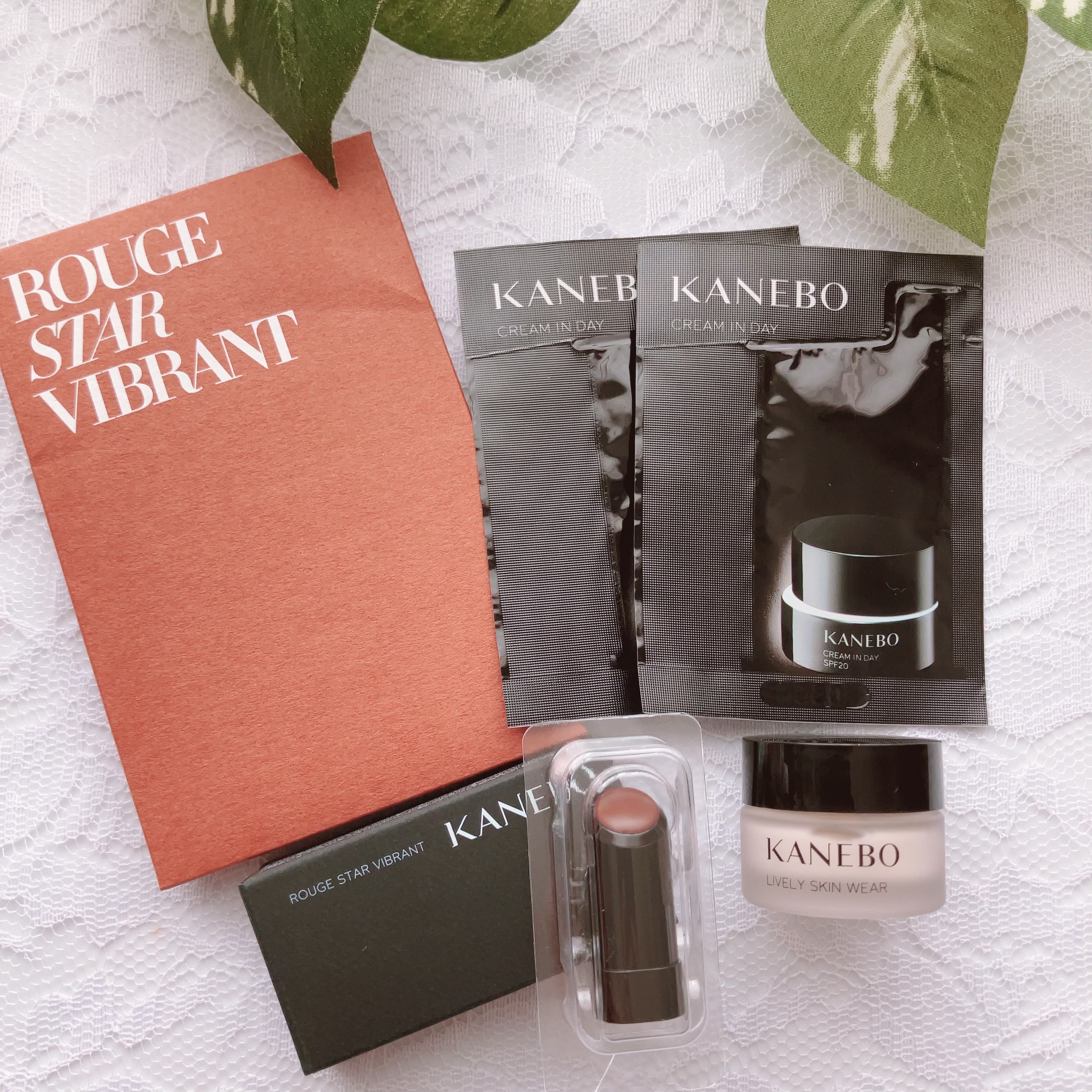 クリーム　イン　デイ/KANEBO/フェイスクリームを使ったクチコミ（1枚目）